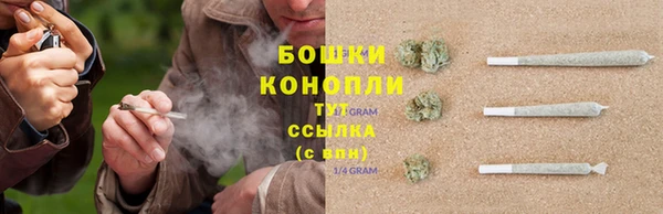 сатива Медвежьегорск