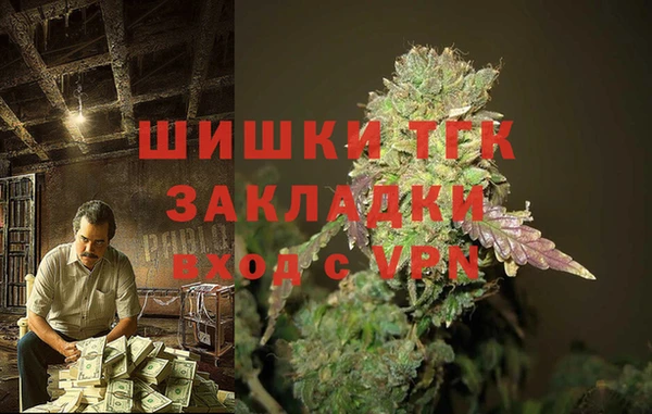 гидропоника Медногорск