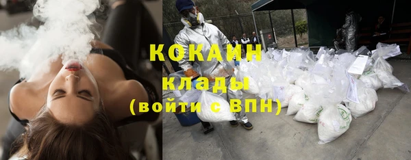 гидропоника Медногорск