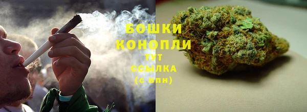 гидропоника Медногорск