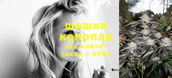 сатива Медвежьегорск