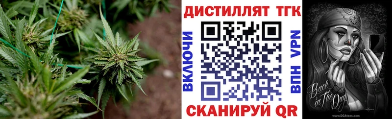 ТГК жижа  Кингисепп 