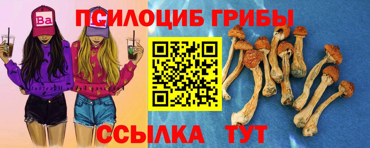 Псилоцибиновые грибы Cubensis  Вход с VPN  Галлюциногенные грибы MAGIC MUSHROOMS  купить   Кингисепп 